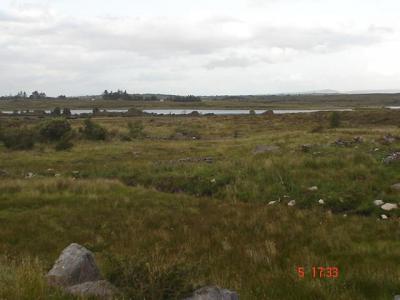 Site at Killawalla